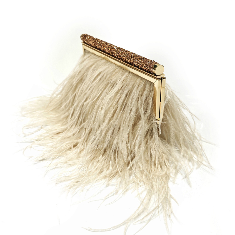 Fashion Clutch Metal frame Eve - đánh giá và giá Wallet Chain Bag