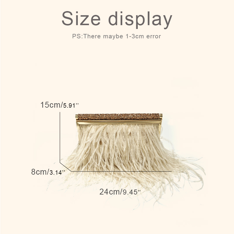 Fashion Clutch Metal frame Eve - đánh giá và giá Wallet Chain Bag