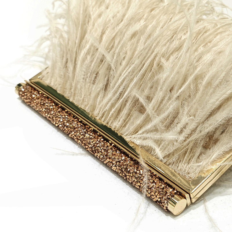 Fashion Clutch Metal frame Eve - đánh giá và giá Wallet Chain Bag